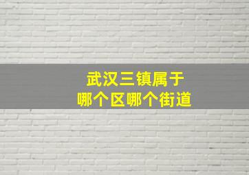 武汉三镇属于哪个区哪个街道