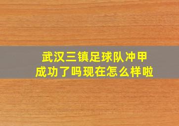 武汉三镇足球队冲甲成功了吗现在怎么样啦