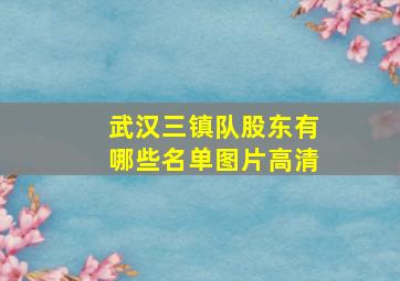 武汉三镇队股东有哪些名单图片高清