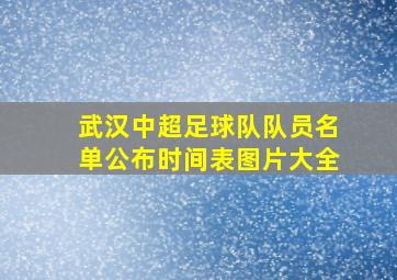 武汉中超足球队队员名单公布时间表图片大全