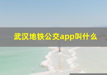 武汉地铁公交app叫什么