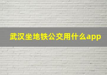 武汉坐地铁公交用什么app