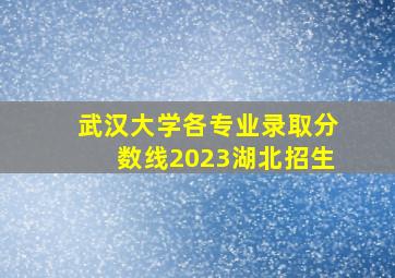 武汉大学各专业录取分数线2023湖北招生