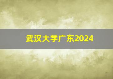 武汉大学广东2024