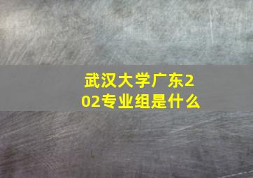 武汉大学广东202专业组是什么