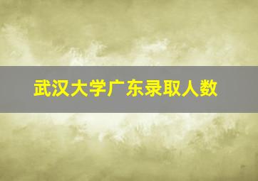 武汉大学广东录取人数