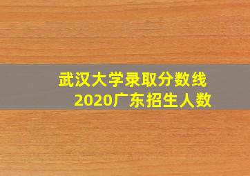 武汉大学录取分数线2020广东招生人数