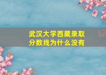 武汉大学西藏录取分数线为什么没有