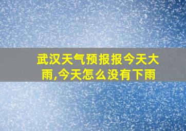 武汉天气预报报今天大雨,今天怎么没有下雨