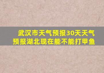 武汉市天气预报30天天气预报湖北现在能不能打甲鱼