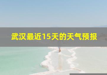 武汉最近15天的天气预报