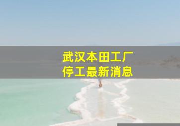 武汉本田工厂停工最新消息