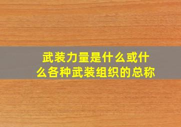 武装力量是什么或什么各种武装组织的总称