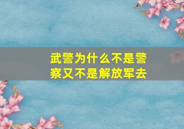 武警为什么不是警察又不是解放军去