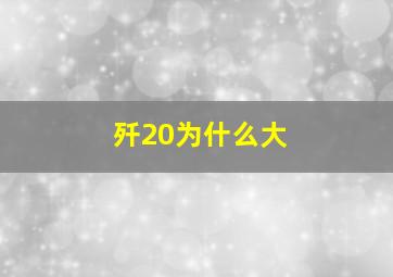 歼20为什么大