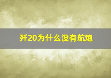 歼20为什么没有航炮