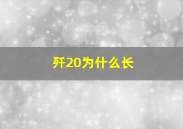 歼20为什么长