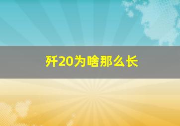 歼20为啥那么长