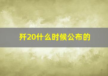 歼20什么时候公布的