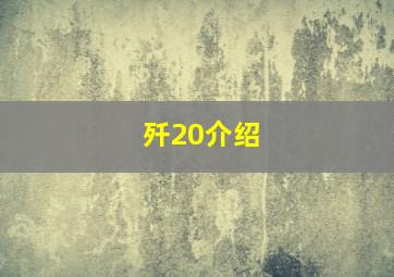 歼20介绍