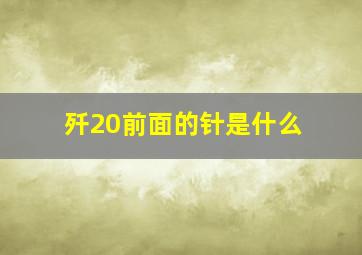 歼20前面的针是什么