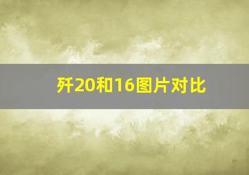 歼20和16图片对比