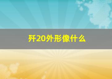 歼20外形像什么