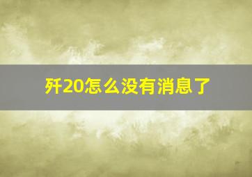 歼20怎么没有消息了