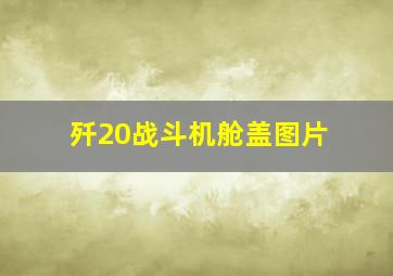 歼20战斗机舱盖图片