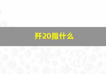 歼20指什么