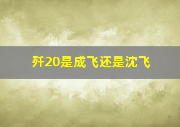 歼20是成飞还是沈飞