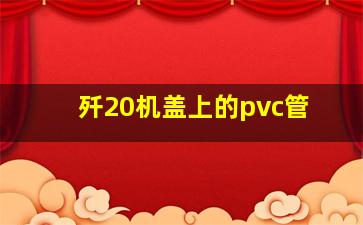 歼20机盖上的pvc管