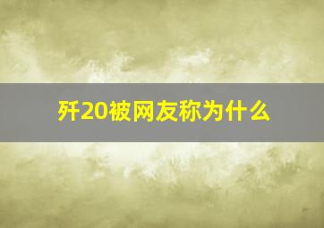 歼20被网友称为什么