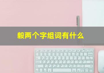 毅两个字组词有什么