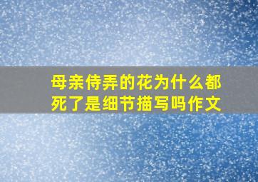 母亲侍弄的花为什么都死了是细节描写吗作文