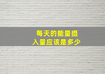 每天的能量摄入量应该是多少