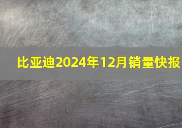 比亚迪2024年12月销量快报