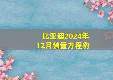 比亚迪2024年12月销量方程豹