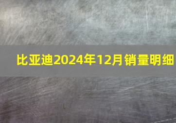 比亚迪2024年12月销量明细