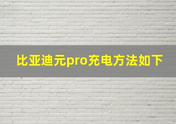 比亚迪元pro充电方法如下