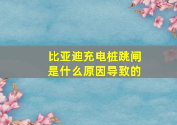 比亚迪充电桩跳闸是什么原因导致的