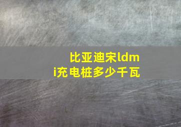 比亚迪宋ldmi充电桩多少千瓦