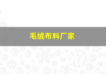 毛绒布料厂家