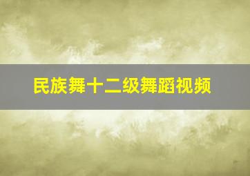 民族舞十二级舞蹈视频