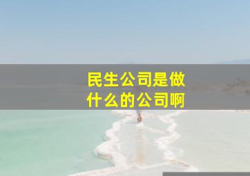 民生公司是做什么的公司啊