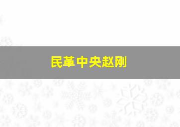 民革中央赵刚