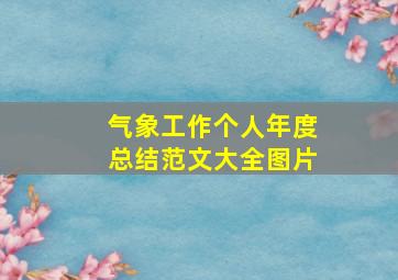 气象工作个人年度总结范文大全图片