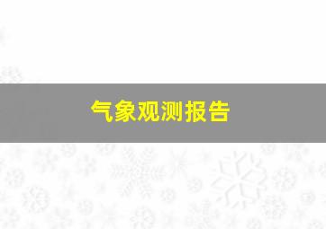 气象观测报告