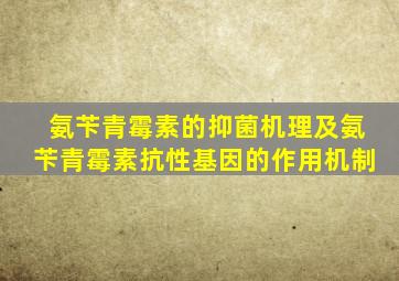 氨苄青霉素的抑菌机理及氨苄青霉素抗性基因的作用机制