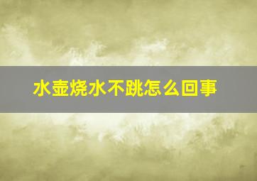 水壶烧水不跳怎么回事